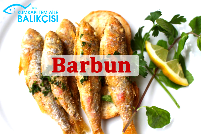 Barbun