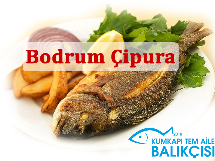 Barbun Çipura