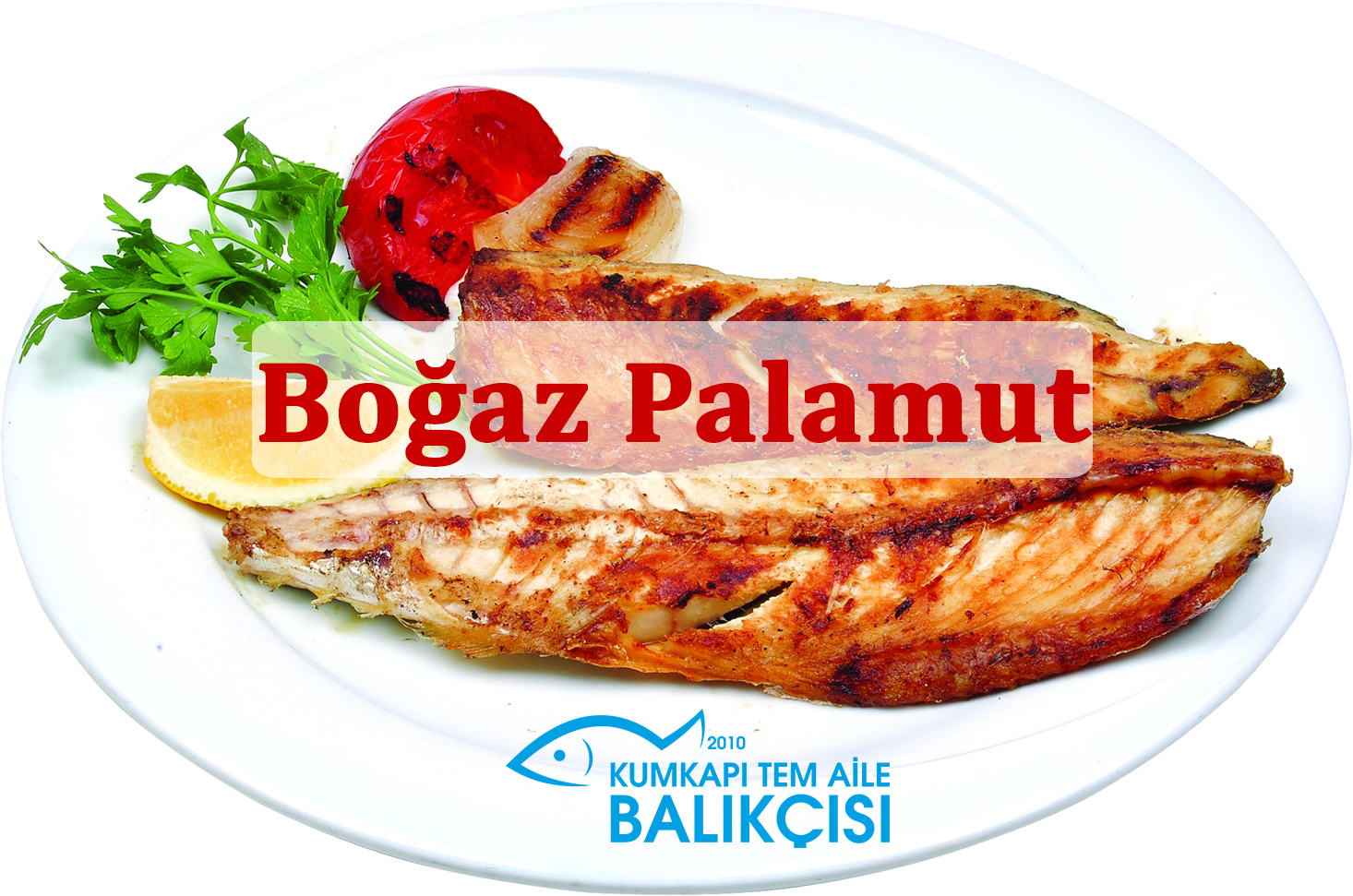 Boğaz Palamut