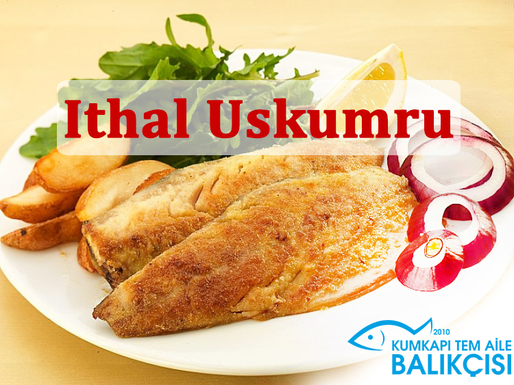İthal Uskumru
