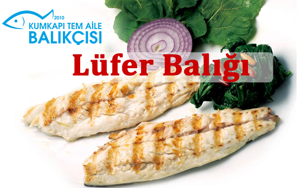 Lüfer