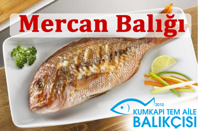 Mercan Balığı