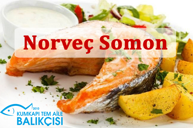 Norveç Somon