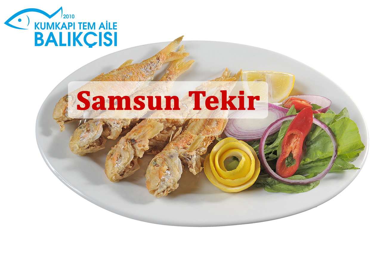 Samsun Tekir