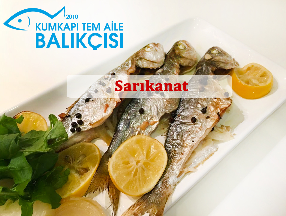 Sarı Kanat