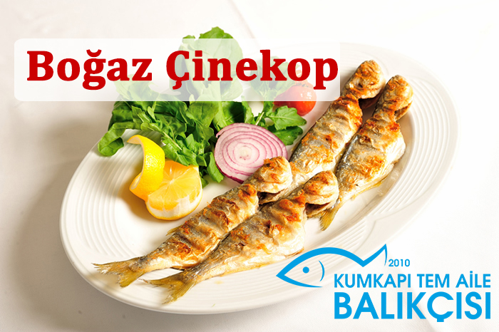 Çinekop