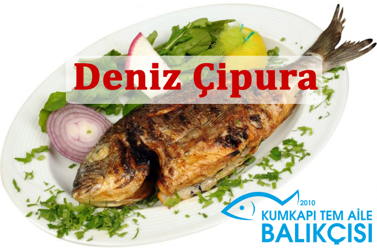 Deniz Çipura