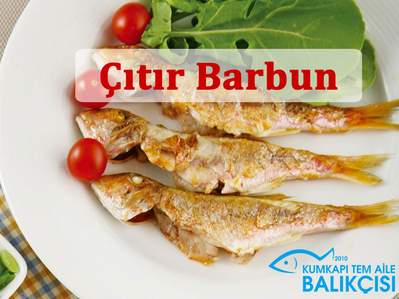 Çıtır Barbun